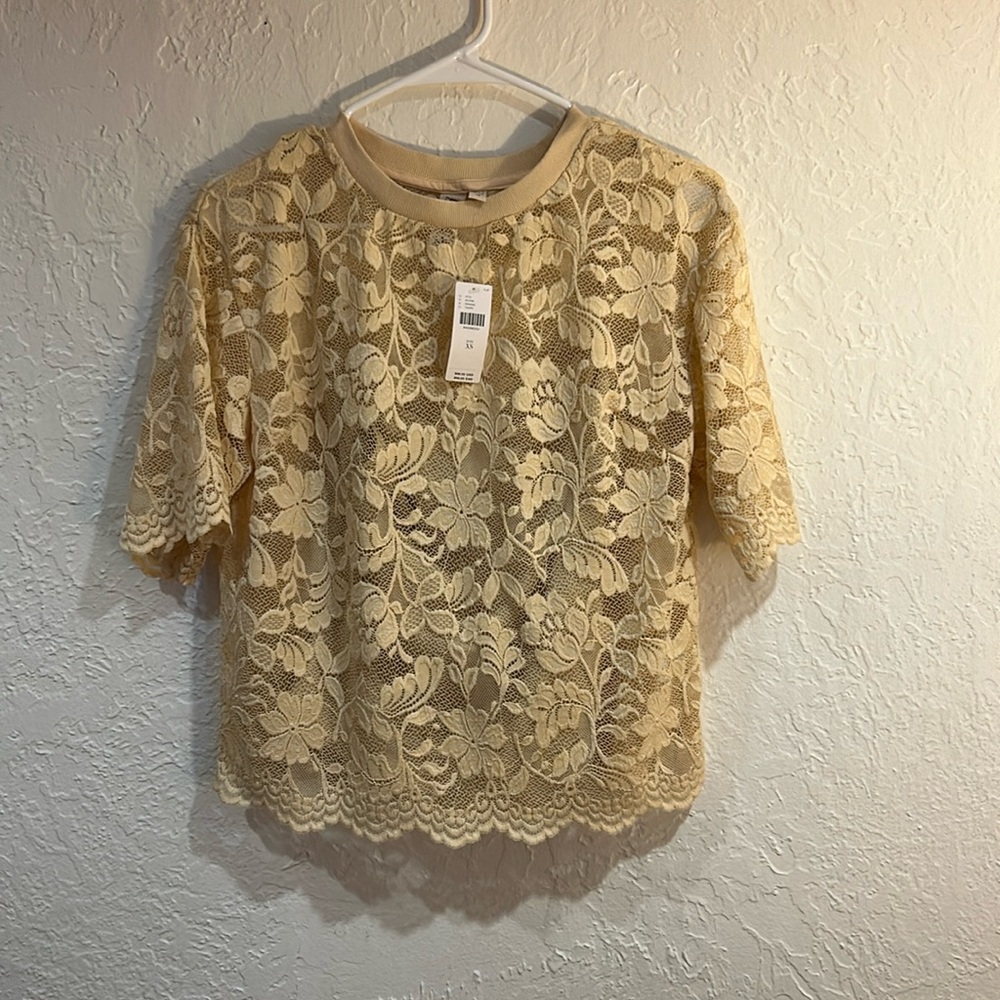 Anthropologie lacy tee shirt (slightly oversized)